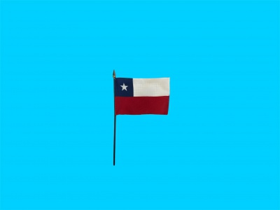 Tafelvlag Chili + kunststof houder