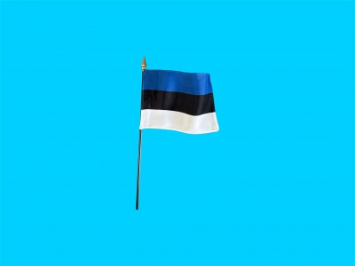 Tafelvlag Estland + kunststof houder