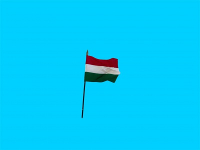 Tafelvlag Hongarije + kunststof houder