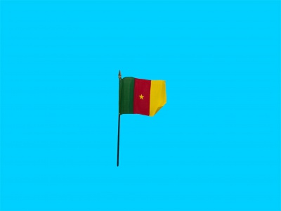 Tafelvlag Kamaroen + kunststof houder