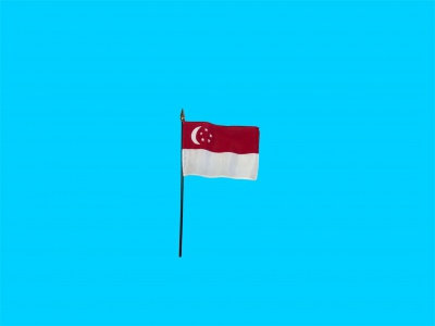 Tafelvlag Singapore + kunststof houder