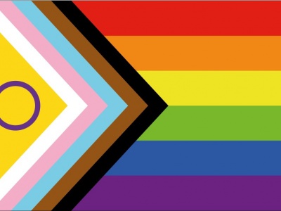 Vlag intersekse progress 100x150 cm