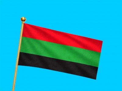 Vlag Aalsmeer 070x100 cm