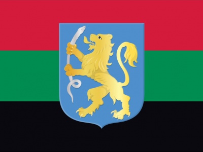 Vlag Aalsmeer met wapen 70x100 cm