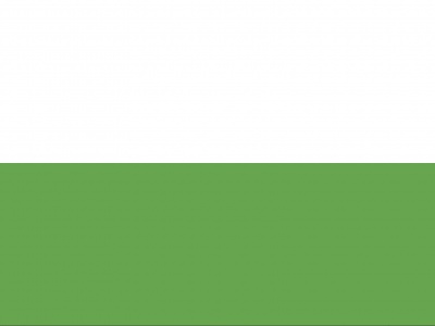 Vlag Aalten 70x100 cm