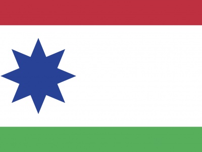 Vlag Achtkarspelen 70x100 cm