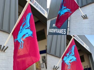 Airborne pegasus vlag met stok