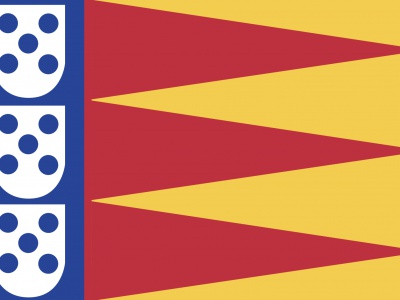 Vlag Albrandswaard 70x100 cm
