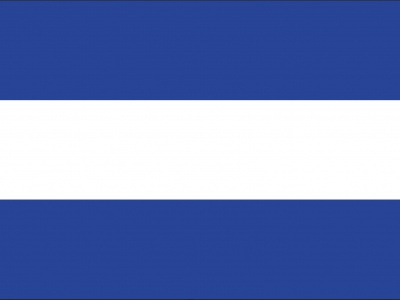 Vlag Almelo 70x100 cm