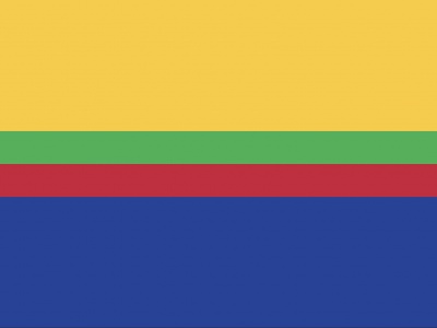 Vlag Appingedam 70x100 cm