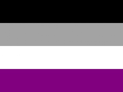Vlag Aseksualiteit 100x150 cm
