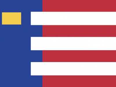 Vlag Baarle-Nassau 70x100 cm