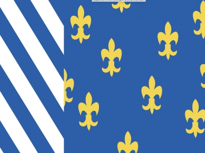 Vlag Bellingwedde 70x100 cm