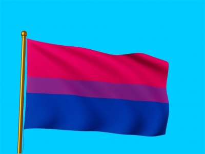 Vlag Biseksualiteit 020x030 cm