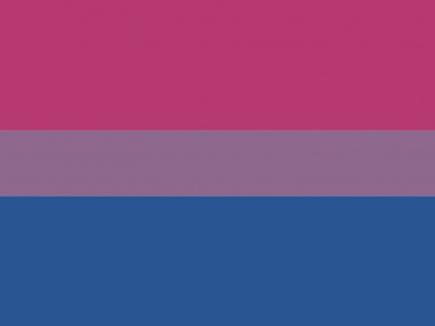 Vlag Biseksualiteit 040x060 cm
