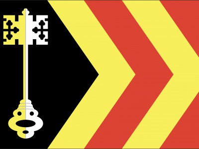 Vlag Bladel 70x100 cm