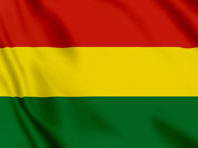 Vlag Bolivia 100x70