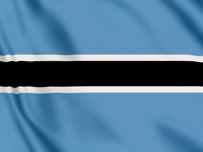 vlag Botswana 100x70