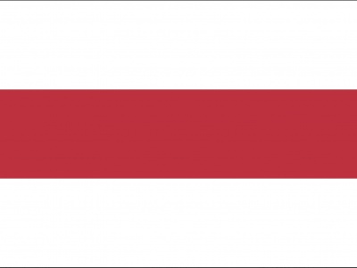 Vlag Brielle 70x100 cm