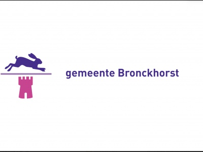 Vlag Bronckhorst 70x100 cm