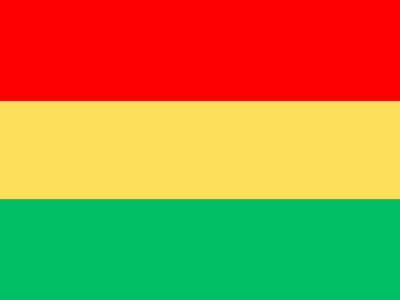 Vlag Carnaval 050x075 cm