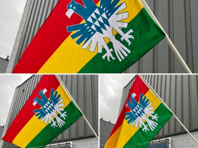 Vlag Carnaval Arnhem 100x150 cm