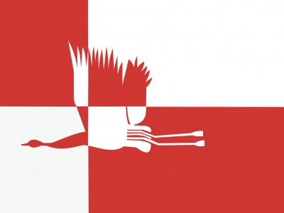 Vlag Cranendonck 70x100 cm