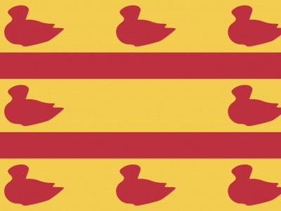 Vlag Cuijk 70x100 cm