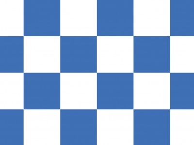 Vlag Dalfsen 70x100 cm