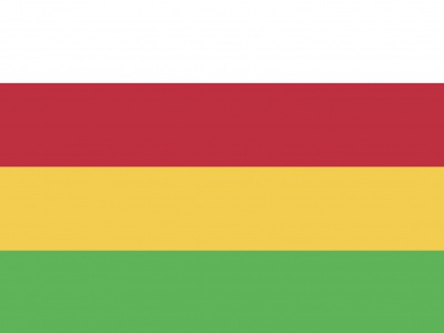 Vlag Dantumadeel 70x100 cm