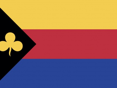 Vlag Delfzijl 70x100 cm