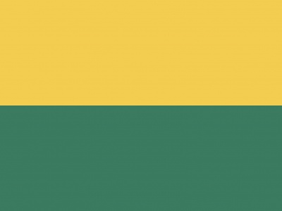Vlag Den Haag 70x100 cm