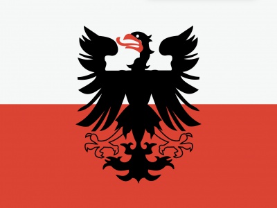 Vlag Deventer 70x100 cm