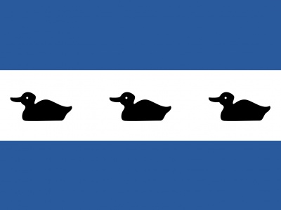 Vlag Diemen 70x100 cm