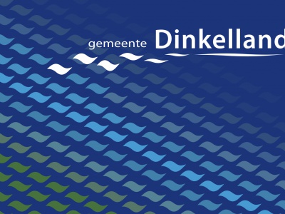 Vlag Dinkelland 70x100 cm