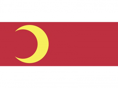 Vlag Doesburg 70x100 cm