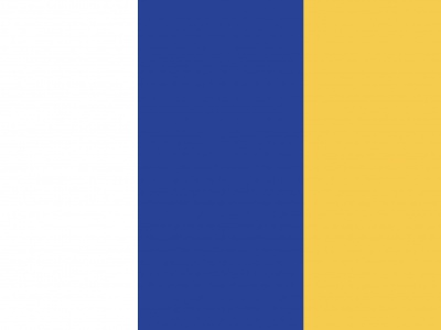 Vlag Doetinchem 70x100 cm