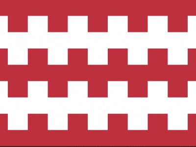 Vlag Dongen 70x100 cm