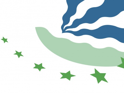Vlag Drimmelen 70x100 cm