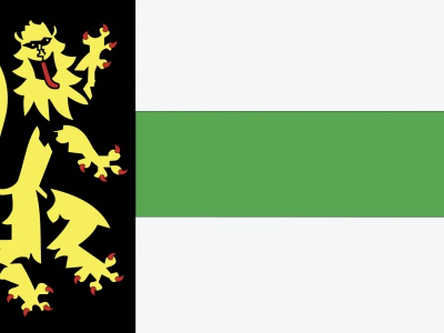 Vlag Druten 70x100 cm