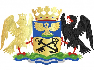 Vlag Eemsdelta met wapen 70x100 cm