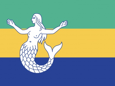 Vlag Eemsmond 70x100 cm