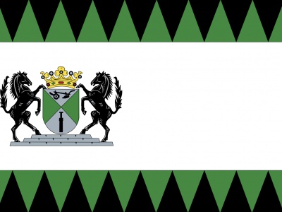 Vlag Emmen 70x100 cm