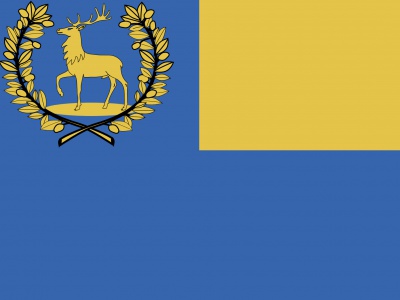 Vlag Epe 70x100 cm