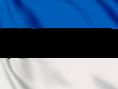 vlag Estland 100x70