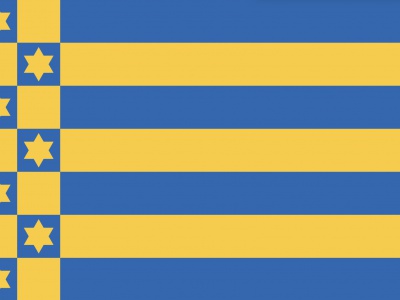 Vlag Ferwerderadeel 70x100 cm