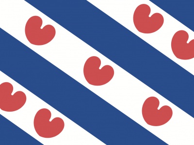 Tweedehands vlag Friesland 150x225 cm, uitverkoop