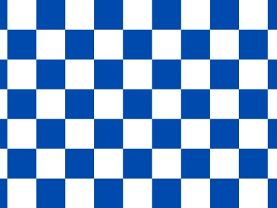 Vlag geblokt blauw - wit 70x100 cm