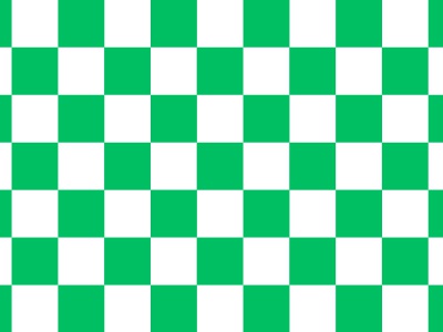 Vlag geblokt groen - wit 70x100 cm