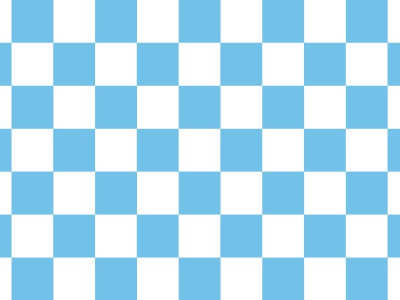 Vlag geblokt Wit en Baby Blauw 040x060 cm